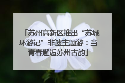 苏州高新区推出“苏城环游记”非遗主题游：当青春邂逅苏州古韵