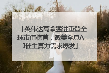 英伟达高歌猛进重登全球市值榜首，微美全息AI催生算力需求爆发