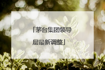 茅台集团领导层最新调整