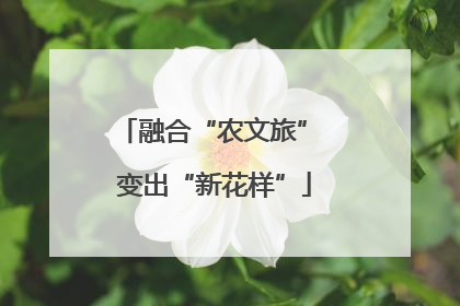 融合“农文旅” 变出“新花样”