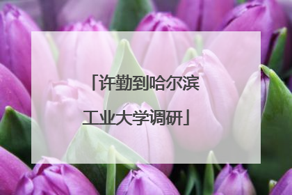 许勤到哈尔滨工业大学调研