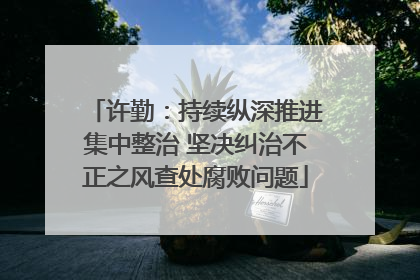 许勤：持续纵深推进集中整治 坚决纠治不正之风查处腐败问题