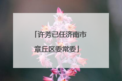 许芳已任济南市章丘区委常委