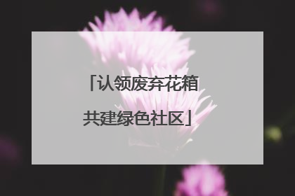 认领废弃花箱 共建绿色社区