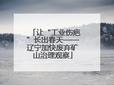 让“工业伤疤”长出春天——辽宁加快废弃矿山治理观察