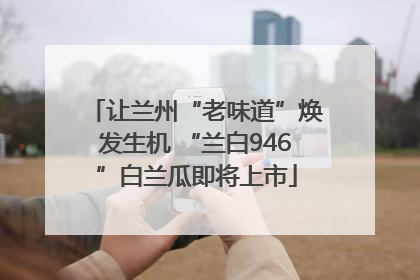 让兰州“老味道”焕发生机 “兰白946”白兰瓜即将上市