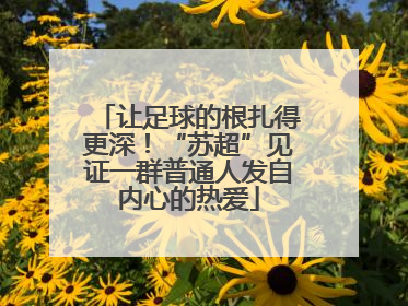 让足球的根扎得更深！“苏超”见证一群普通人发自内心的热爱