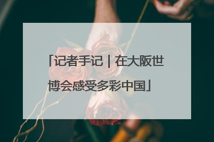 记者手记｜在大阪世博会感受多彩中国
