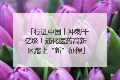 行进中国丨冲刺千亿级！通化医药高新区踏上“新”征程