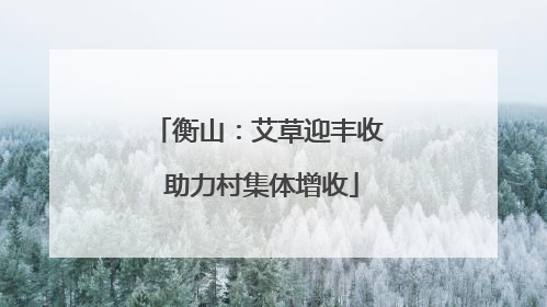 衡山：艾草迎丰收 助力村集体增收