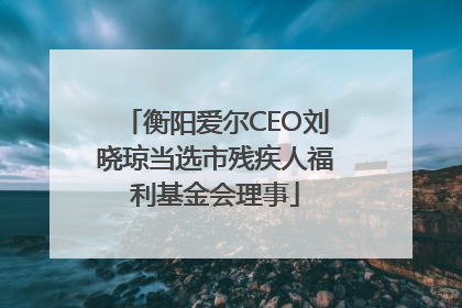 衡阳爱尔CEO刘晓琼当选市残疾人福利基金会理事