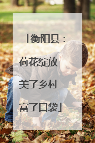 衡阳县：荷花绽放 美了乡村 富了口袋