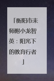 衡阳市耒师附小龙智英：阳光下的教育行者
