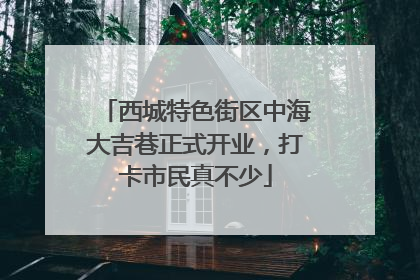 西城特色街区中海大吉巷正式开业，打卡市民真不少