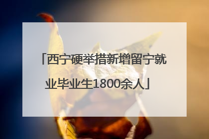 西宁硬举措新增留宁就业毕业生1800余人