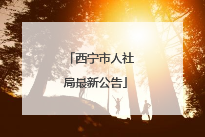 西宁市人社局最新公告