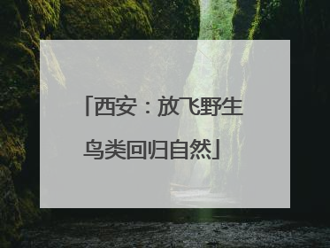 西安：放飞野生鸟类回归自然