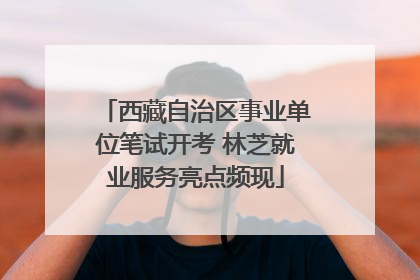 西藏自治区事业单位笔试开考 林芝就业服务亮点频现