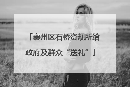 襄州区石桥资规所给政府及群众“送礼”
