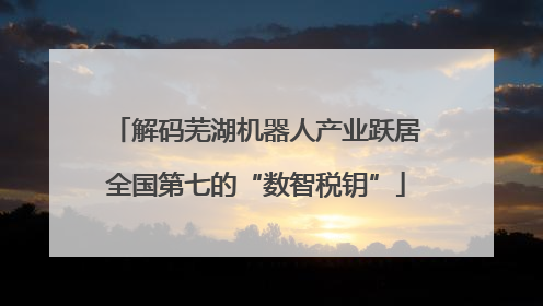 解码芜湖机器人产业跃居全国第七的“数智税钥”