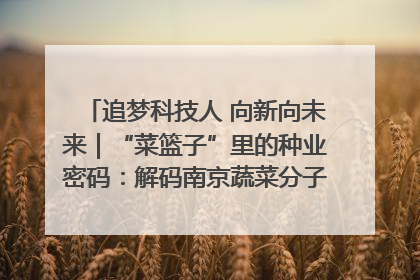 追梦科技人 向新向未来｜“菜篮子”里的种业密码：解码南京蔬菜分子育种的创新之路