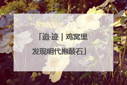 追·迹｜鸡窝里发现明代抱鼓石