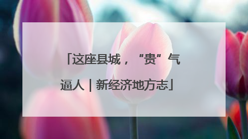 这座县城，“贵”气逼人｜新经济地方志