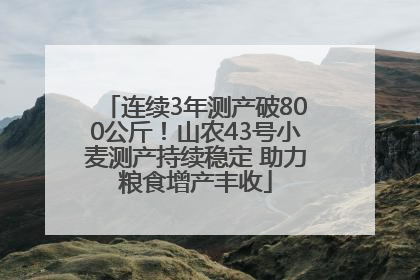 连续3年测产破800公斤！山农43号小麦测产持续稳定 助力粮食增产丰收