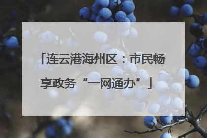 连云港海州区：市民畅享政务“一网通办”