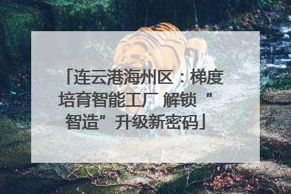 连云港海州区：梯度培育智能工厂 解锁“智造”升级新密码