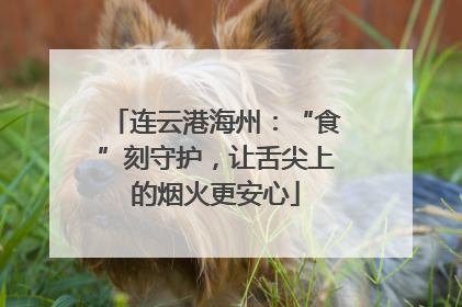 连云港海州：“食”刻守护，让舌尖上的烟火更安心