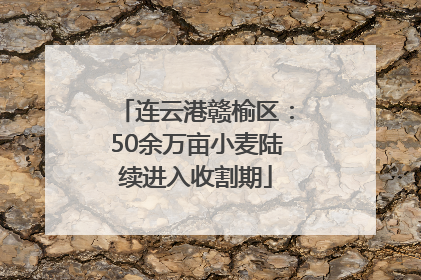 连云港赣榆区：50余万亩小麦陆续进入收割期