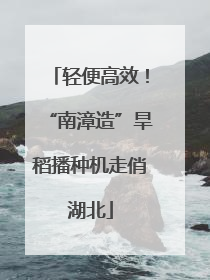 轻便高效！“南漳造”旱稻播种机走俏湖北