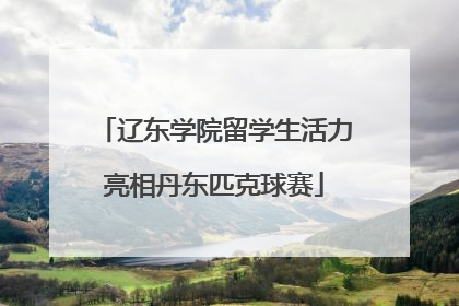 辽东学院留学生活力亮相丹东匹克球赛