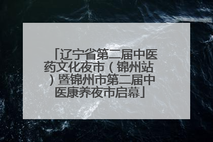 辽宁省第二届中医药文化夜市（锦州站）暨锦州市第二届中医康养夜市启幕