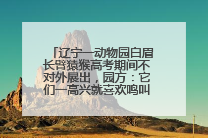 辽宁一动物园白眉长臂猿猴高考期间不对外展出，园方：它们一高兴就喜欢鸣叫，怕影响考试
