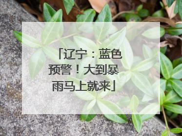 辽宁：蓝色预警！大到暴雨马上就来