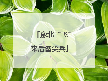 豫北“飞”来后备尖兵