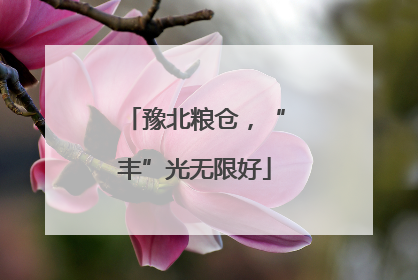 豫北粮仓，“丰”光无限好