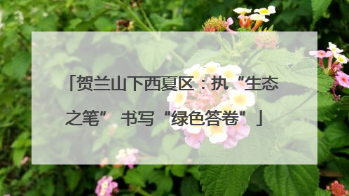 贺兰山下西夏区：执“生态之笔” 书写“绿色答卷”