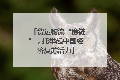 货运物流“稳链”，托举起中国经济复苏活力