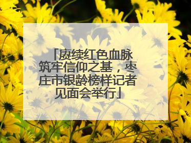 赓续红色血脉 筑牢信仰之基，枣庄市银龄榜样记者见面会举行