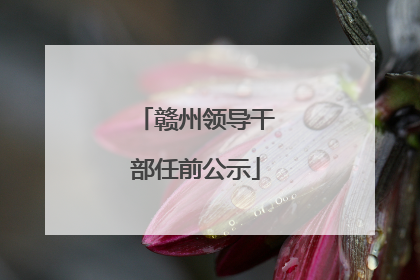 赣州领导干部任前公示