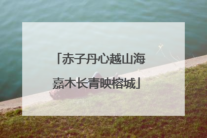 赤子丹心越山海 嘉木长青映榕城