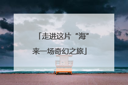 走进这片“海”来一场奇幻之旅