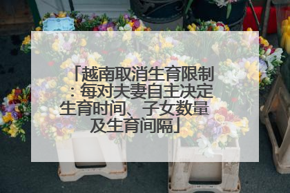 越南取消生育限制：每对夫妻自主决定生育时间、子女数量及生育间隔