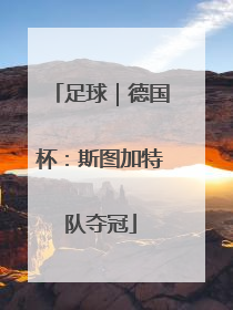 足球｜德国杯：斯图加特队夺冠