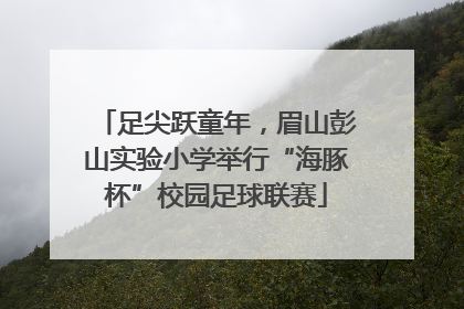 足尖跃童年，眉山彭山实验小学举行“海豚杯”校园足球联赛