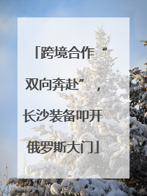 跨境合作“双向奔赴”，长沙装备叩开俄罗斯大门