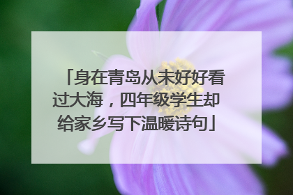 身在青岛从未好好看过大海，四年级学生却给家乡写下温暖诗句